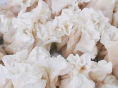 -域乐楼清真饭庄(华北路店)