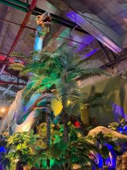 -恐龙探索乐园(磁器口店)