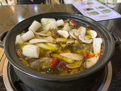 -蘑统田下·野生菌火锅