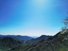 -大岭沟猕猴桃谷风景区