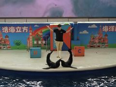 -成都浩海立方海洋公园