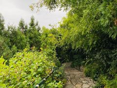 -香山公园