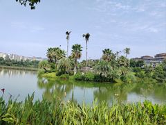 -枫香湖儿童公园