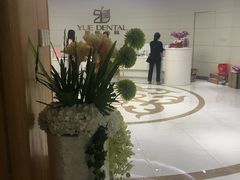 -雅悦齿科(顾村公园店)