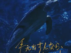 -台州海洋世界