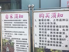 -向葡萄庄园