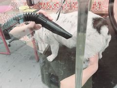 -FAELING PETS美天灵宠物(合生汇店)