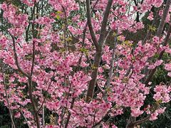 -梁鸿国家湿地公园