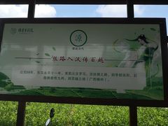 -中华茉莉园