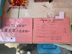 -上海菊园樱桃研究所