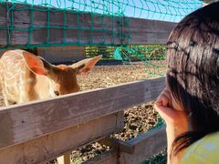 -安德鲁户外烧烤帐篷营地(马泉营店)