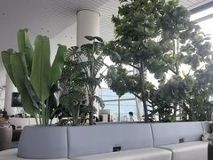 -广州白云国际机场-T2航站楼