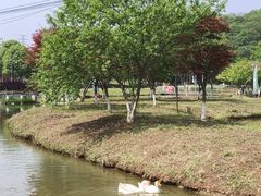 -佛手湖郊野公园