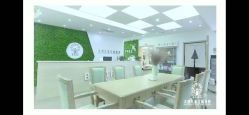 -大树儿童摄影