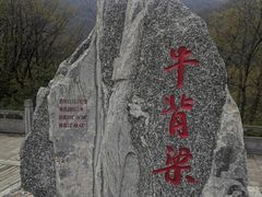 -牛背梁国家森林公园