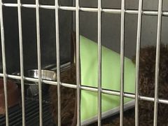 -安安宠医·安宠宠物医院