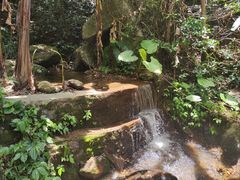 -梧桐山风景名胜区