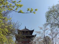 -堤角公园