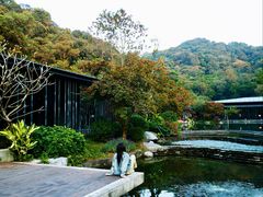 -云溪植物园