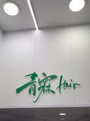-青霖·飘逸造型