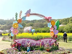 -苏州上方山国家森林公园