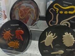 -半岛宠物医院24小时(白果林店)
