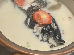-全乐鱼馆·淳牌有机鱼直营店