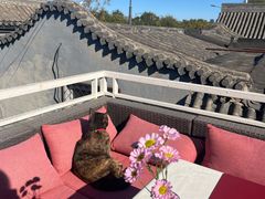 看风景的猫咪-EATALIA意塔利意式餐厅(鼓楼店)