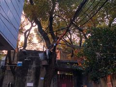 -凤凰御元艺术基地