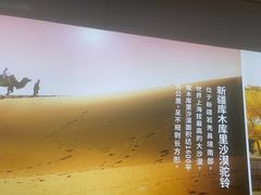 -西域胡氏大盘鸡(谈固店)