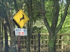 -奈良公园