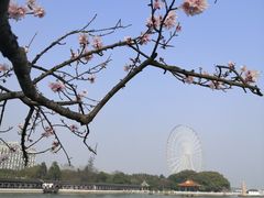 -无锡蠡湖国家湿地公园-蠡园