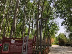 -仁和公园(顺义区)