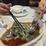 知粵賞味，以盤中風物，氤氳粵饌況味。