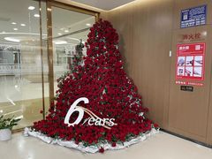 -嘉悦丽格眼科(丰联广场店)