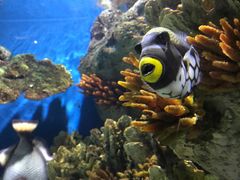 -福州罗源湾海洋世界旅游区