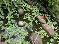 -园林美食城·本土农家菜(杨和镇店)