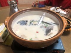 -全乐鱼馆·淳牌有机鱼直营店