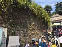 -上海佘山国家森林公园西佘山园