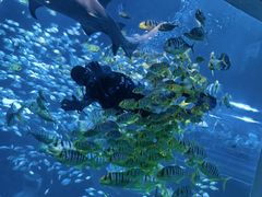 -太平洋海底世界