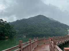 -桃花岭景区