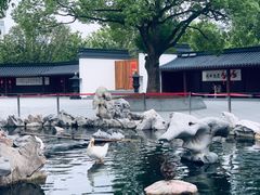 -龙华寺