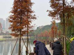 -重庆彩云湖湿地公园