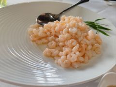 -香雪海饭店中餐厅(人民桥店)