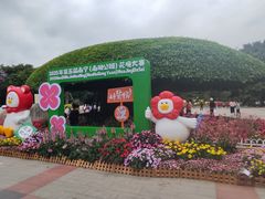 -南宁南湖公园