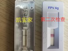 化验结果，凯宝家开始是两条杠，现在只有褪了-悦宠凯宝动物医院·牙科·皮肤科(朝阳北路店)