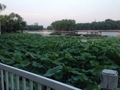 -小王府(什刹海店)