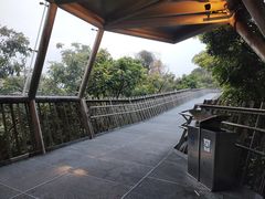 -福道