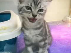 -乐宠宠物店(世纪金源店)