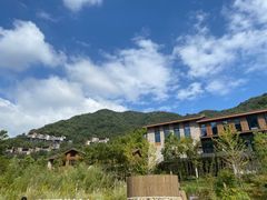 -宁海安岚·南溪阁全日餐厅